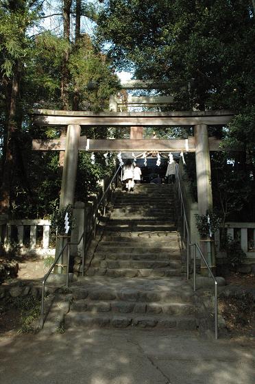 20100103阿蘇神社2.jpg