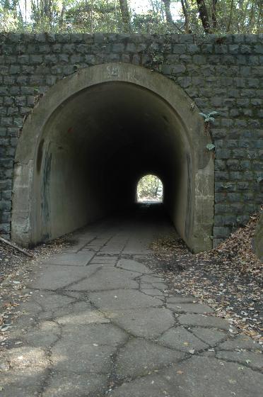 トンネル大.jpg