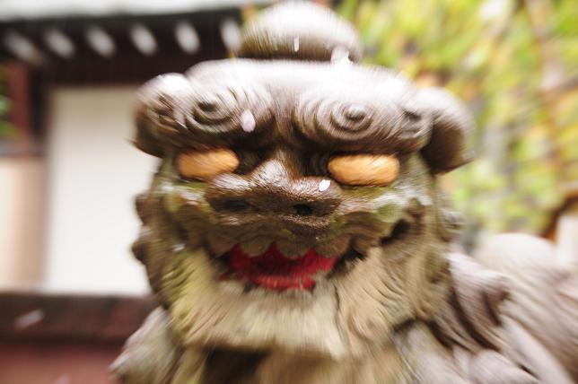 15白山神社狛犬.jpg