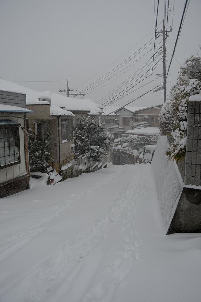 1雪に覆われた家の前の道.jpg
