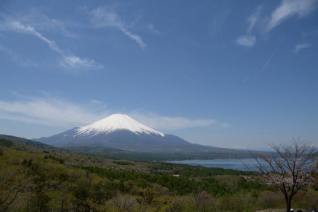 3山中湖と富士山.jpg