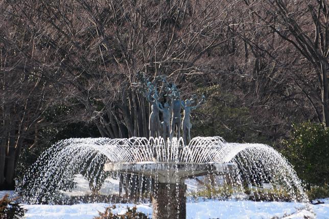 5昭和記念公園の噴水.jpg